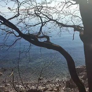 Sandi , Rijeka Croatie